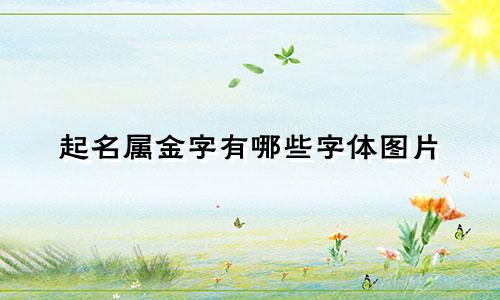 起名属金字有哪些字体图片