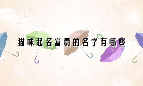 猫咪起名富贵的名字有哪些