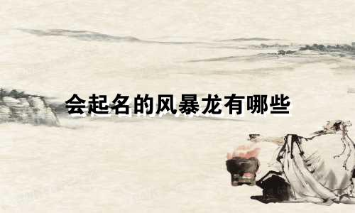 会起名的风暴龙有哪些