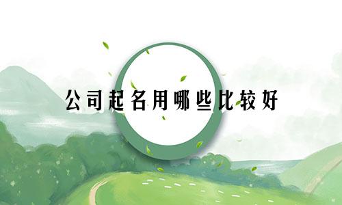 公司起名用哪些比较好