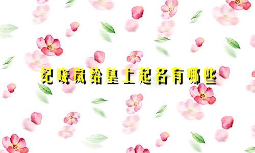 纪晓岚给皇上起名有哪些