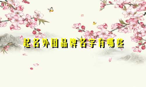 起名外国品牌名字有哪些