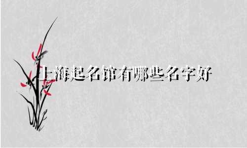 上海起名馆有哪些名字好