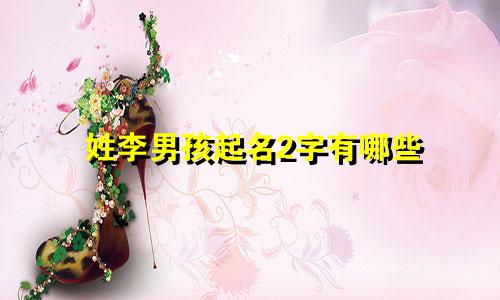 姓李男孩起名2字有哪些