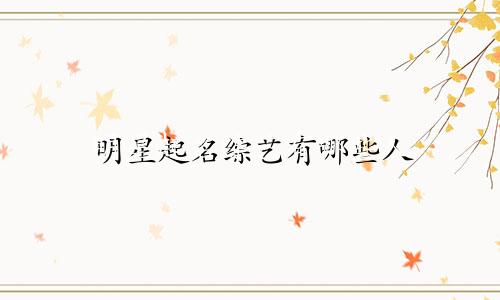 明星起名综艺有哪些人