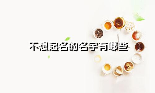 不想起名的名字有哪些