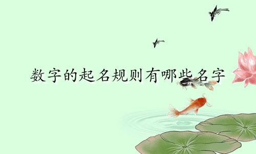 数字的起名规则有哪些名字