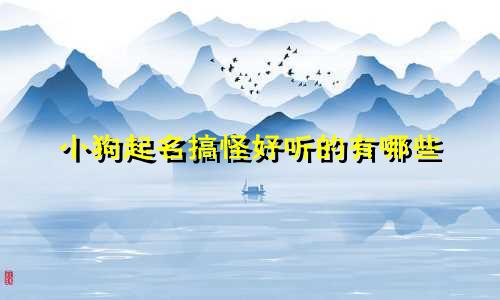 小狗起名搞怪好听的有哪些