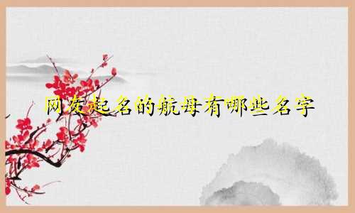 网友起名的航母有哪些名字