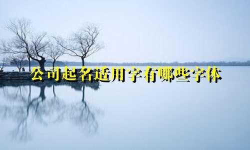 公司起名适用字有哪些字体