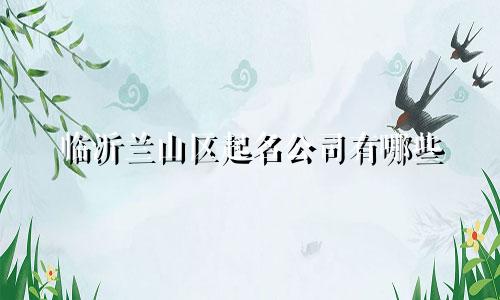 临沂兰山区起名公司有哪些