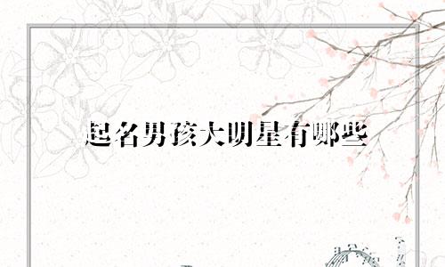 起名男孩大明星有哪些