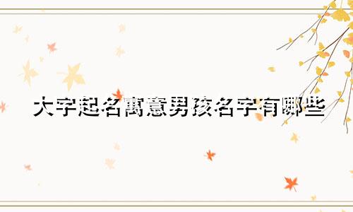 大字起名寓意男孩名字有哪些