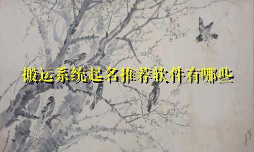 搬运系统起名推荐软件有哪些