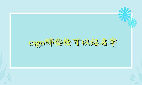 csgo哪些枪可以起名字