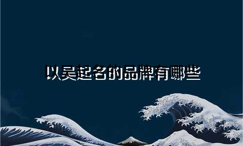 以吴起名的品牌有哪些