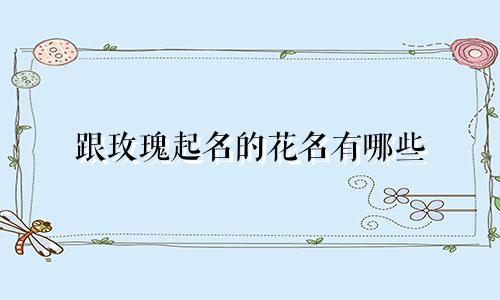 跟玫瑰起名的花名有哪些