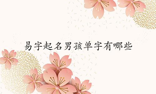 易字起名男孩单字有哪些