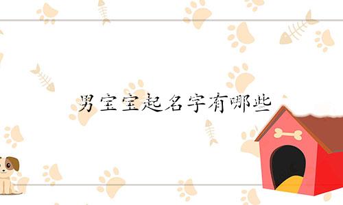 男宝宝起名字有哪些