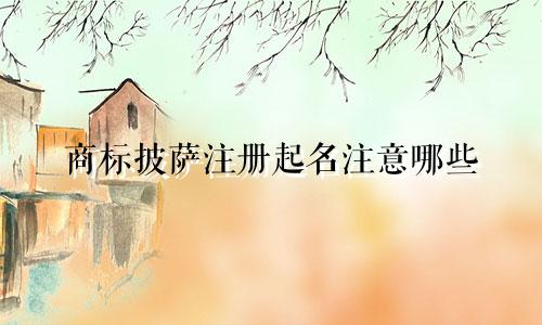 商标披萨注册起名注意哪些