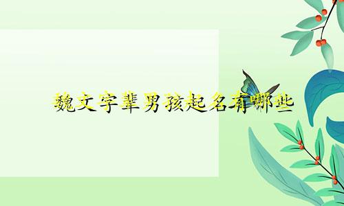 魏文字辈男孩起名有哪些