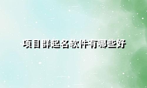 项目群起名软件有哪些好
