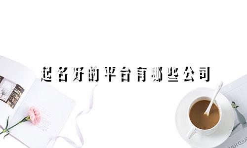 起名好的平台有哪些公司