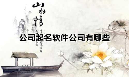 公司起名软件公司有哪些