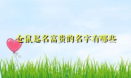 仓鼠起名富贵的名字有哪些