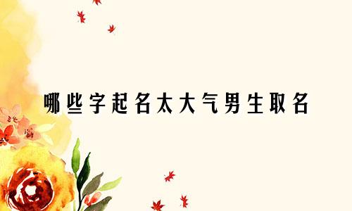 哪些字起名太大气男生取名