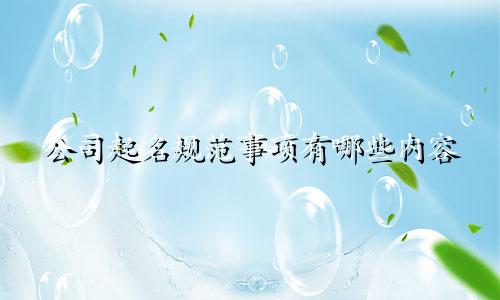 公司起名规范事项有哪些内容