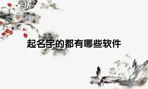 起名字的都有哪些软件