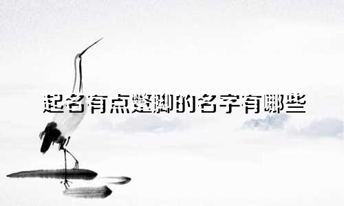 起名有点蹩脚的名字有哪些
