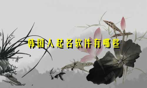 韩国人起名软件有哪些