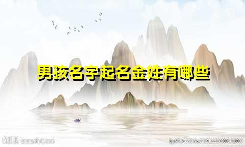 男孩名字起名金姓有哪些