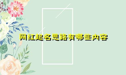 网红起名思路有哪些内容