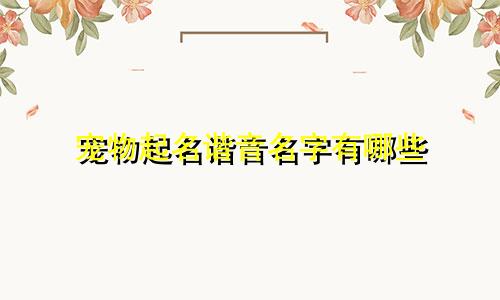 宠物起名谐音名字有哪些
