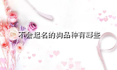 不会起名的狗品种有哪些