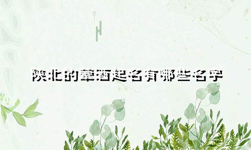 陕北的荤酒起名有哪些名字