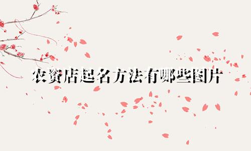 农资店起名方法有哪些图片