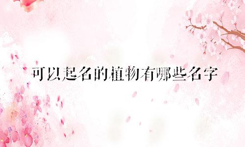 可以起名的植物有哪些名字