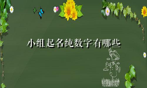 小组起名纯数字有哪些