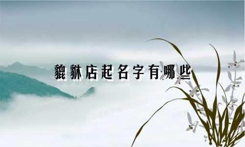 貔貅店起名字有哪些