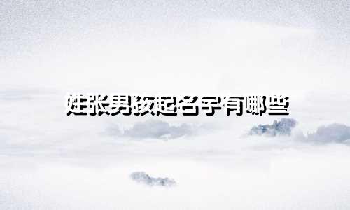 姓张男孩起名字有哪些