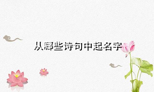 从哪些诗句中起名字