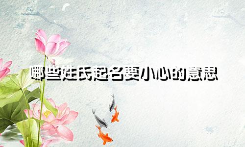哪些姓氏起名要小心的意思