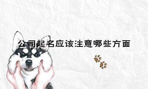 公司起名应该注意哪些方面