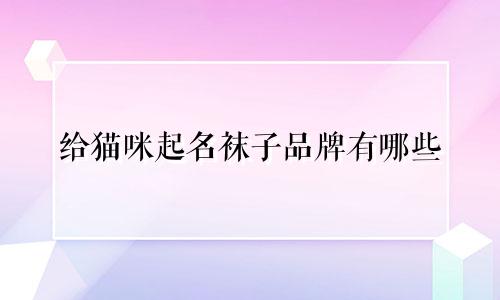给猫咪起名袜子品牌有哪些