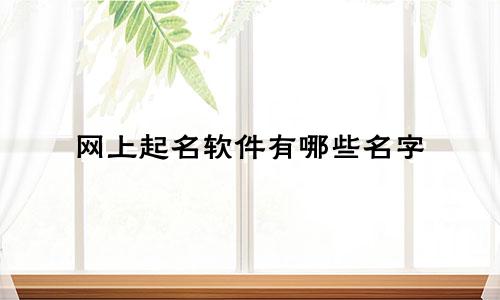 网上起名软件有哪些名字