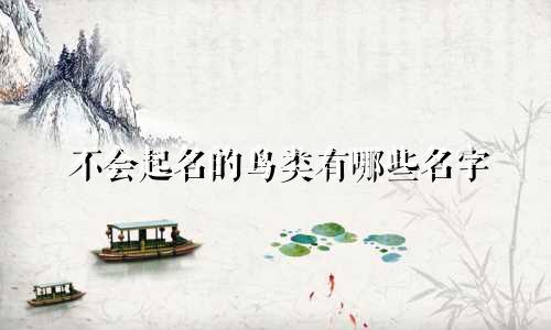 不会起名的鸟类有哪些名字